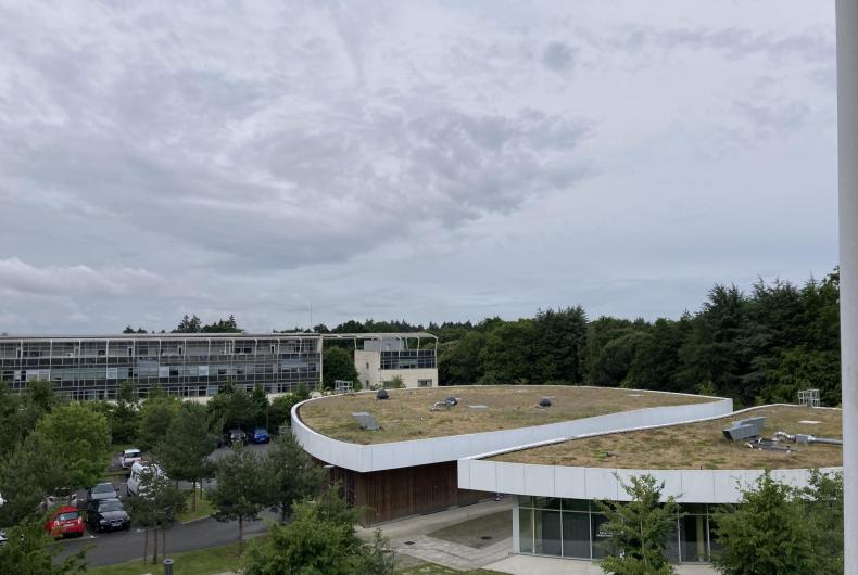 Vue aérienne des toitures végétalisées