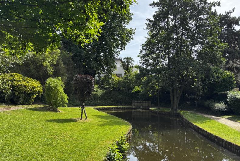 Vues du parc avec le bassin
