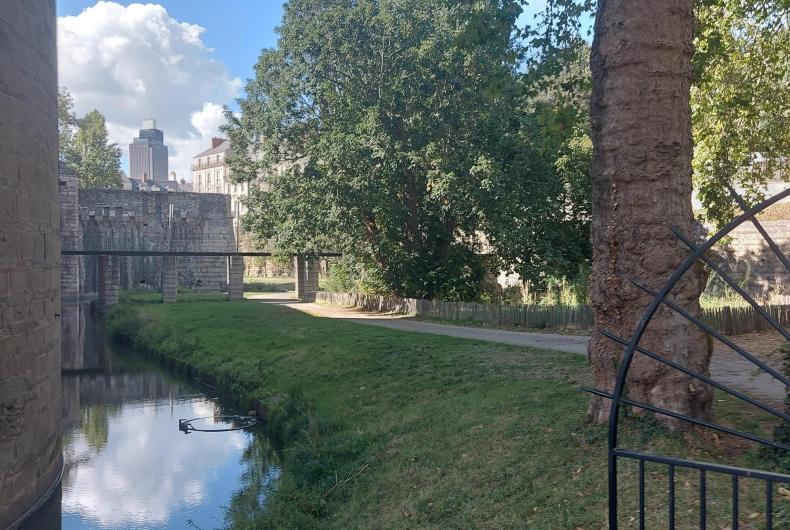 Vue sur la ripisylve et le boisement du parc