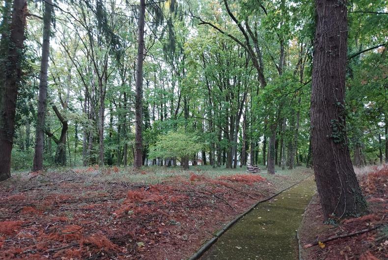 AUDIT DOMAINE DU NORMONT 2026