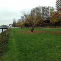 Berges_Seine-Courbevoie%C2%A9Gondwana_2016%20%2817%29.jpg