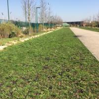 Coulee_verte_Parc_Sports-Gennevilliers%C2%A9ARP-ASTRANCE_2017%20%281%29.JPG