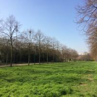 Coulee_verte_Parc_Sports-Gennevilliers%C2%A9ARP-ASTRANCE_2017%20%282%29.JPG