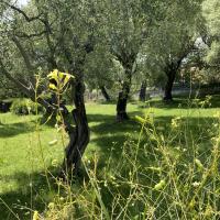 Domaine des collette musée Renoir_Cagnes-sur-mer_GIROD 2024 3.JPG