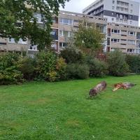EV_accompagnement_Q11-2_Rennes©Arp-Astrance_2023 (2).jpg