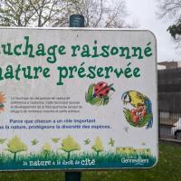 GENNEVILIERS_Parc Chenard et Walcker©Arp-Astrance_ 2024 (10).jpg