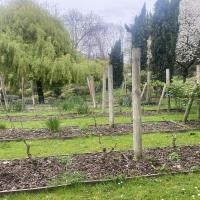 Jardin_Botanique_GPSO©Arp-Astrance_2023 (1).JPG