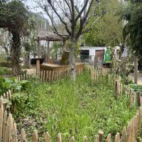 Jardin_Maison_Nature_Arbre_GPSO©Arp-Astrance_2023 (1).JPG