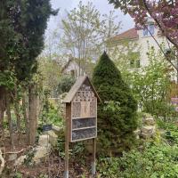 Jardin_Maison_Nature_Arbre_GPSO©Arp-Astrance_2023 (8).JPG