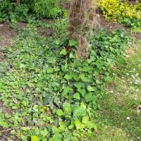 Jardin_Revolution_Narbonne©Oreade-Breche_2021.jpg