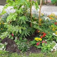 Jardin_Revolution_Narbonne©Oreade-Breche_2021_05.jpg