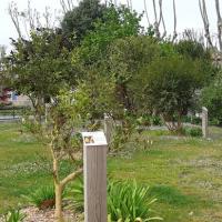 Jardin_Revolution_Narbonne©Oreade-Breche_2021_06.jpg