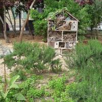 Jardin_Saint-Paul_Narbonne©Oreade-Breche_2021.jpg