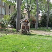 Jardin_Saint-Paul_Narbonne©Oreade-Breche_2021_02.jpg