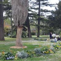Jardin_Saint-Paul_Narbonne©Oreade-Breche_2021_05.jpg