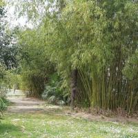 Jardin_Saint-Paul_Narbonne©Oreade-Breche_2021_06.jpg