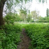 Jardin_deux_rives_Strasbourg©Urban&amp;amp;Sens_2017 (2).JPG