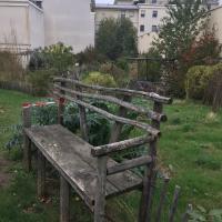 Jardin_papillons_Courbevoie©Arp-Astrance_2019 (17).JPG