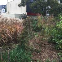 Jardin_papillons_Courbevoie©Arp-Astrance_2019 (7).JPG