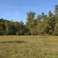 Parc_Bourran-Merignac%C2%A9Oreade-Breche_2016%20%2829%29.jpg