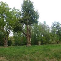 Parc_Heyritz_Strasbourg©Urban&amp;amp;Sens_2020 (1).JPG
