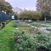 Parc_Offenbach_Puteaux©Arp-Astrance_2023 (26).jpg