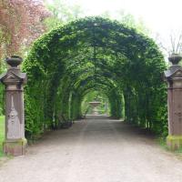 Parc_Orangerie_Strasbourg©Urban&amp;amp;Sens_2017 (5).JPG