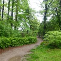 Parc_Orangerie_Strasbourg©Urban&amp;amp;Sens_2017 (6).JPG