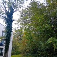 Petits_Pres_Batigere_idf©Arp-Astrance_2023 (6).jpeg