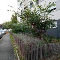 Renouilleres_Batigere-idf©Arp-Astrance_2023 (2)_0.jpeg
