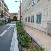 Rue_Liberte_Pantin©Arp-Astrance_2023 (3).jpg