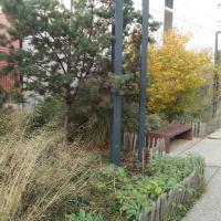 Skatepark_Jardin_Fauvelle-Courbevoie©Gondwana_2016 (35).jpg