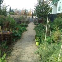 Skatepark_Jardin_Fauvelle-Courbevoie©Gondwana_2016 (8).jpg