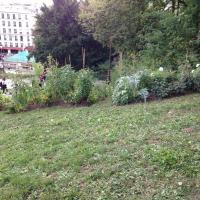 Square_Louise_Michel_Paris©Arp-Astrance_2016 (21).JPG