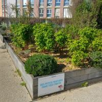 PARC DIDEROT, VILLE DE PANTIN @ARP ASTRANCE 2025.jpg