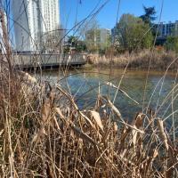 PARC DIDEROT, VILLE DE PANTIN, @ARP ASTRANCE 2025.jpg
