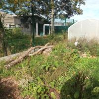 Zone biodiversité