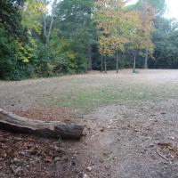 prairie et souche tombée au sol