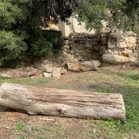 PARC DE FONT OBSCURE 2025