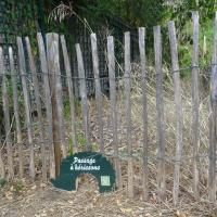 passage à petite faune