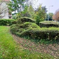 Un patrimoine végétal ancien