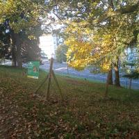 Périmètre d'éco-paturage