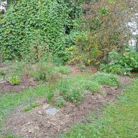 Potager en permaculture