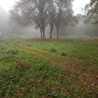 Tonte pour matérialiser les circulations