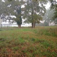 Aménagement des placettes par la tonte pour crée des poses dans le cheminement (future projet)