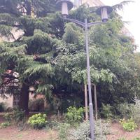 Espaces verts