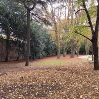 Espace de sous-bois