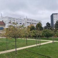 Espace de détente et de fruitiers