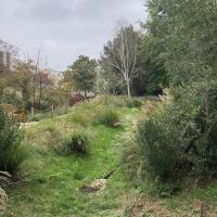 Espace naturel : noue végétalisée