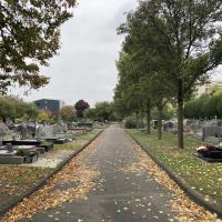 Allée du cimetière